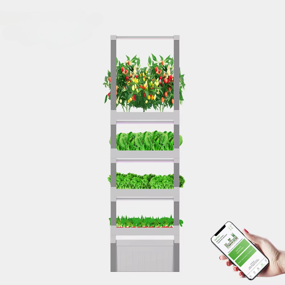 Sistem Grow Box Hidroponik Cin - Diy Home Automation System ulasan dan harga
